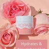 Kopari Facial Moisturizer - Water Moisture Cream - All Natural Vegan