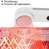 Handheld Facial Massager, Portable Ion Warm Massage Device