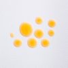 Day & Night Duo Facial Serum Bundle - Vitamin C Serum & Retinol Serum