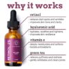Eve Hansen Anti-Aging Retinol Serum for Face | Anti-Wrinkle Serum