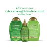 OGX Extra Strength Refreshing + Invigorating Teatree Mint Dry Scalp