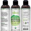 Organic Tea Tree Witch Hazel Toner (8 oz) Purifying Tea Tree Toner