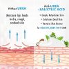 Ebanel Bundle of 40% Urea Cream 4.6 Oz, and Exfoliating Face Scrub