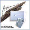 Carolyn's Facial Formulas Gua Sha Electronic Treatment