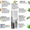BEST Natural Anti-Aging Facial Serum Vitamin C Complex